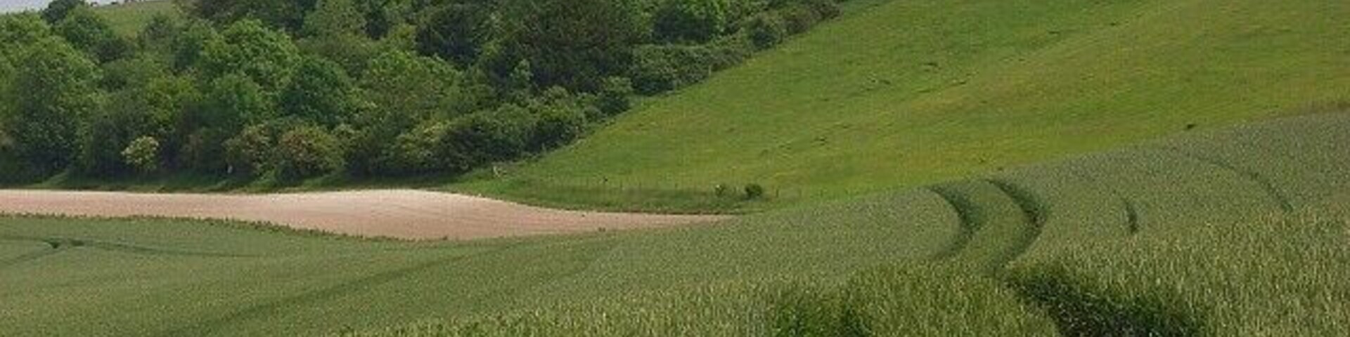 Copse, down and farmland, Nether Wallop Taken a short distance from the track above Hollom Down Farm.