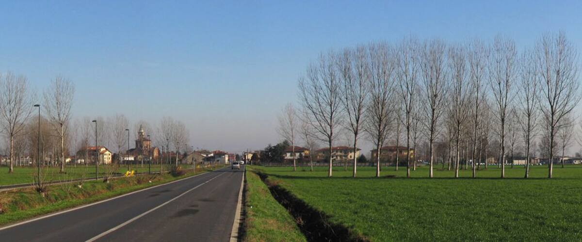 A rural road flanked by green fields and leafless trees.