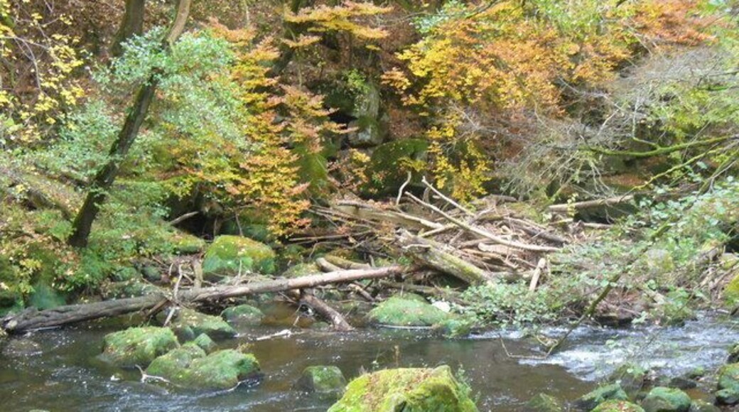 Irreler Wasserfaelle, Pruemtal (Irrel Waterfall, Prum Valley)