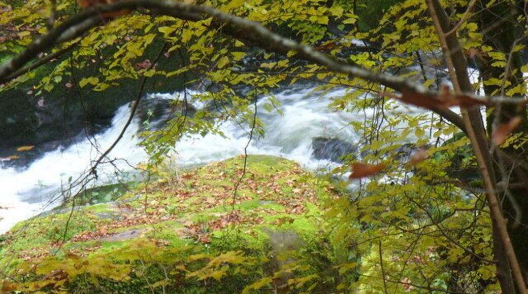 Irreler Wasserfaelle