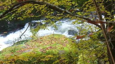 Irreler Wasserfaelle