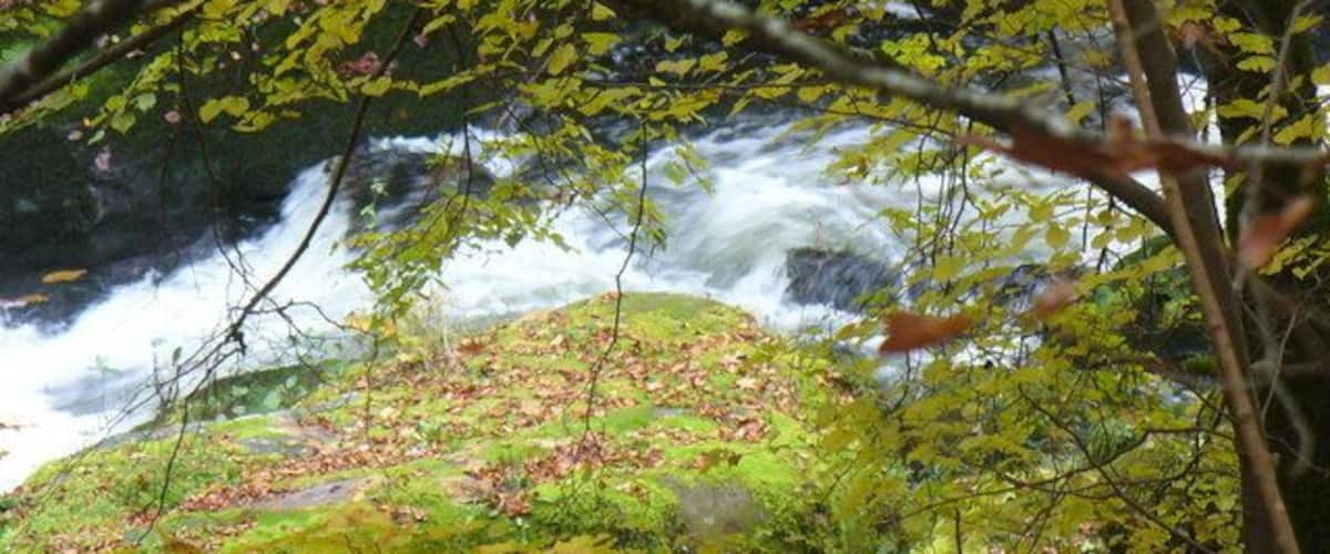A waterfall surrounded by autumn foliage.