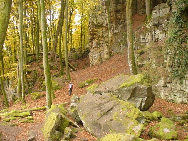 Sandsteinfelsen in der Teufelsschlucht (Sandstone Blocks in Devil's Gorge)