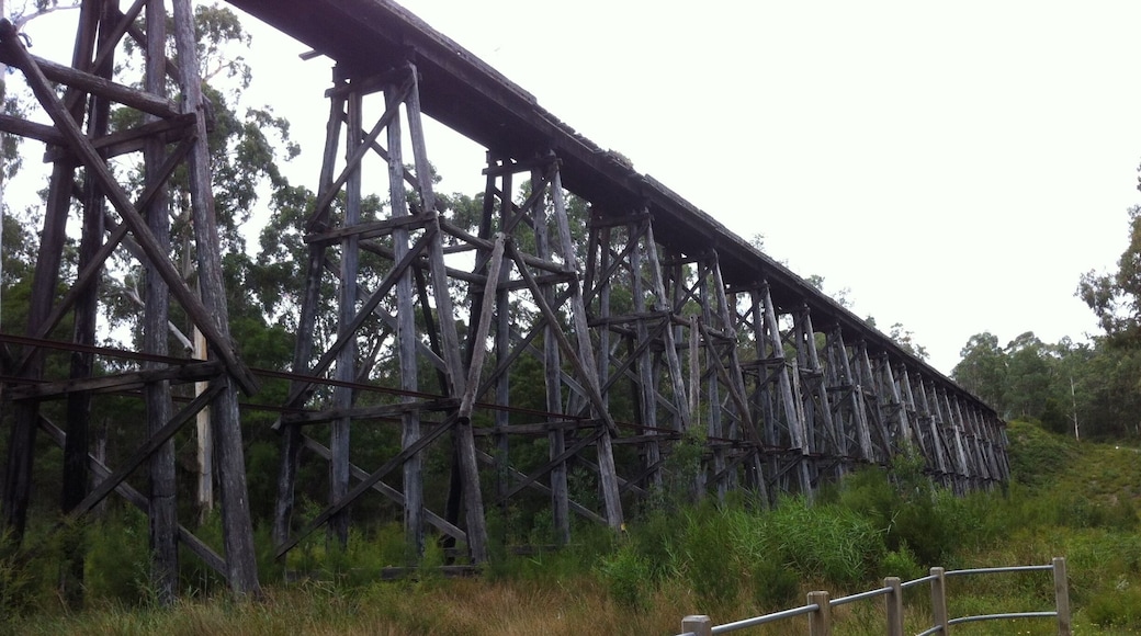 The Stony Creek Trestle Bridge, built in 1916 was a railway bridge. In service for over 60 years the bridge was damaged by bushfire in 1980, with the last train crossing in 1988.
It is 247m long and 20m high