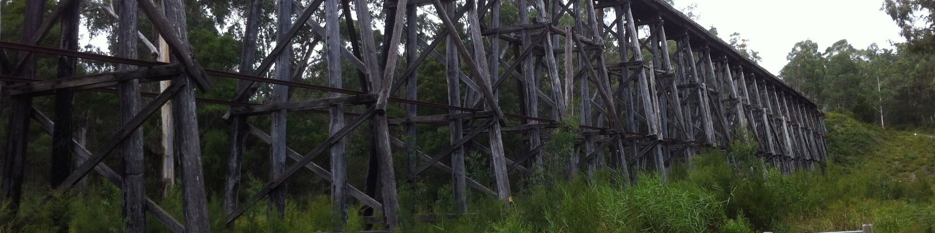 The Stony Creek Trestle Bridge, built in 1916 was a railway bridge. In service for over 60 years the bridge was damaged by bushfire in 1980, with the last train crossing in 1988.
It is 247m long and 20m high