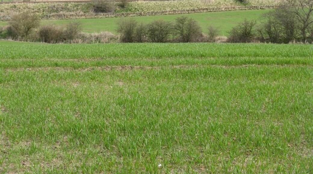 Fields at Philpstoun The landscape is bisected by the railway, and beyond that by the M9 motorway, which is hidden. On the horizon is the tower monument at the Binns.