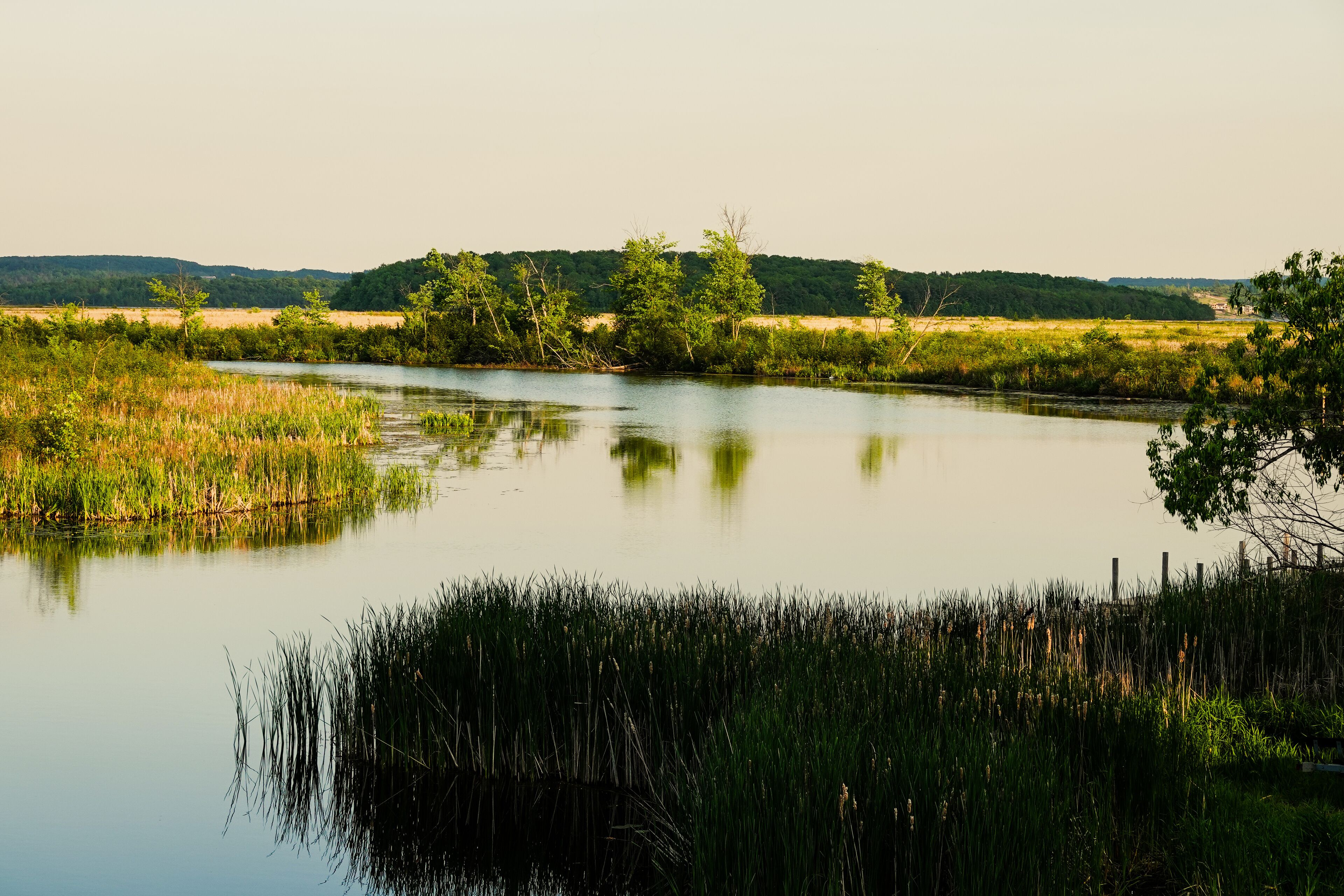 The Indian River Makes Its Final Passage Into Rice Lake Near Keene, Ontario