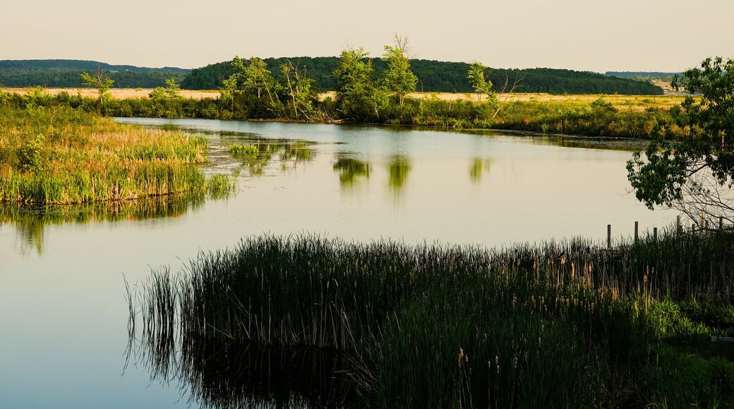 Otonabee-South Monaghan