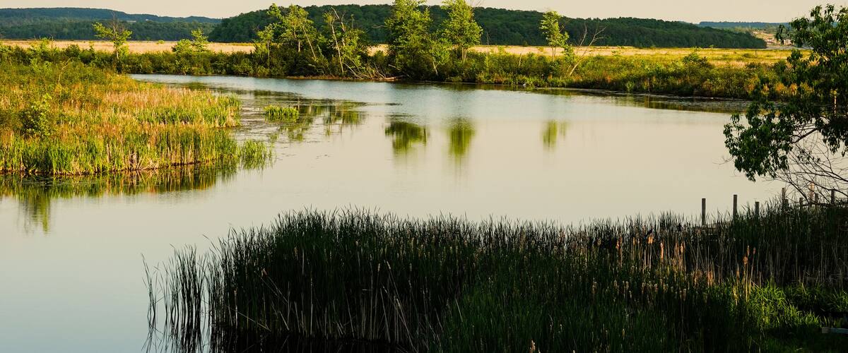 The Indian River Makes Its Final Passage Into Rice Lake Near Keene, Ontario