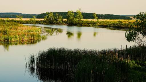 The Indian River Makes Its Final Passage Into Rice Lake Near Keene, Ontario