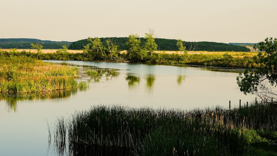 The Indian River Makes Its Final Passage Into Rice Lake Near Keene, Ontario