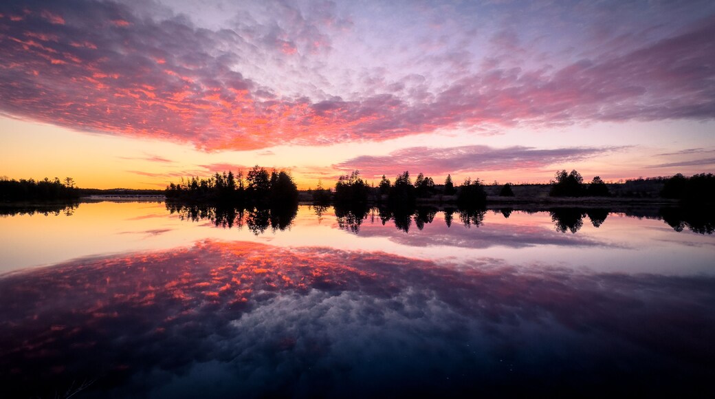 Otonabee-South Monaghan