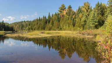 La Mauricie National Park in Canada