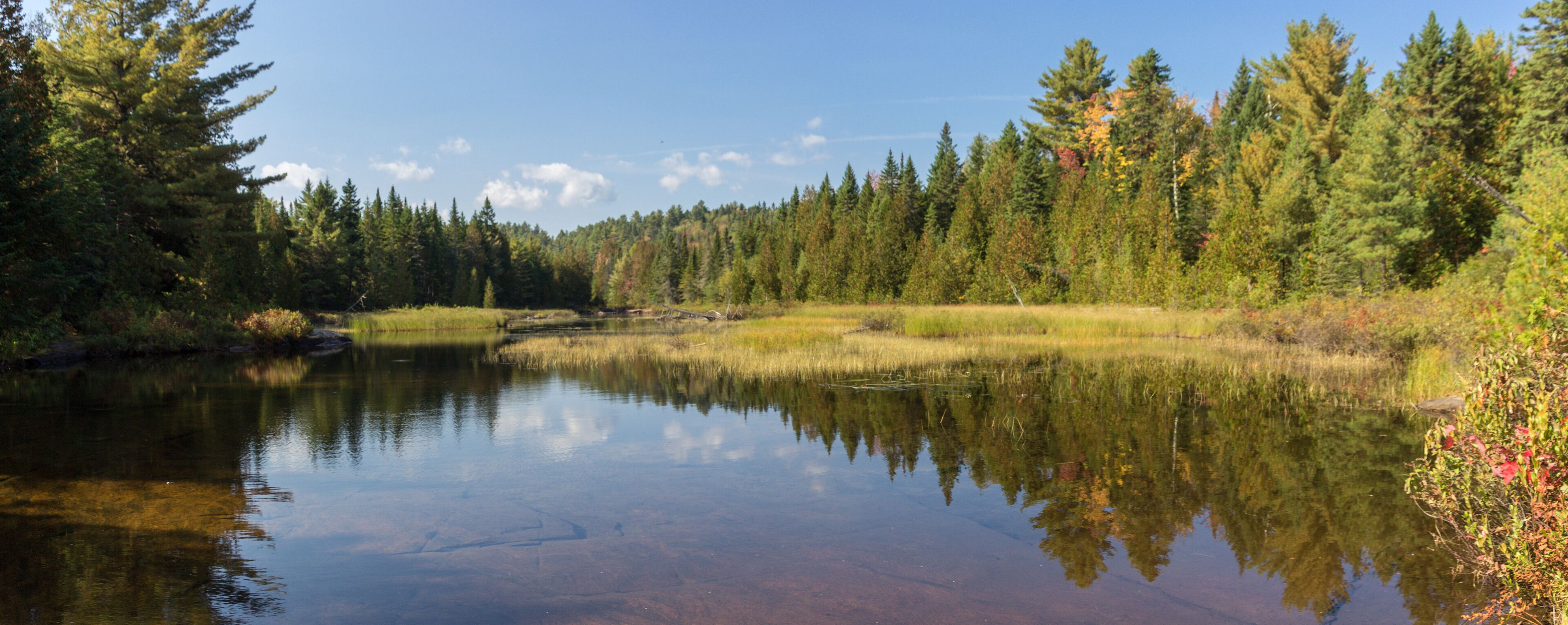 A calm lake surrounded by dense forest and autumn foliage.