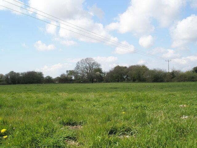 Pastureland adjacent to Chichester canal