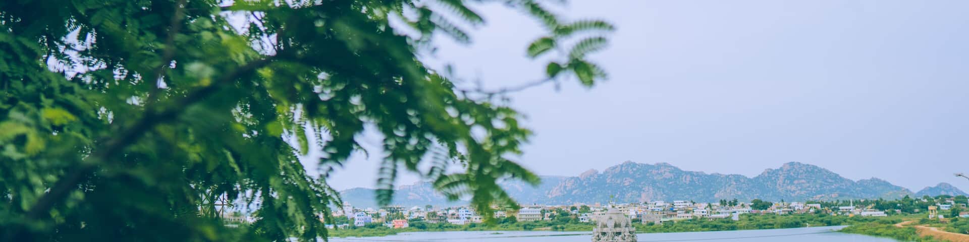 A temple is being seen through tree in pileru