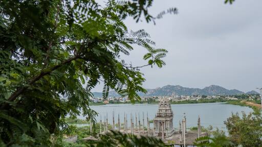 A temple is being seen through tree