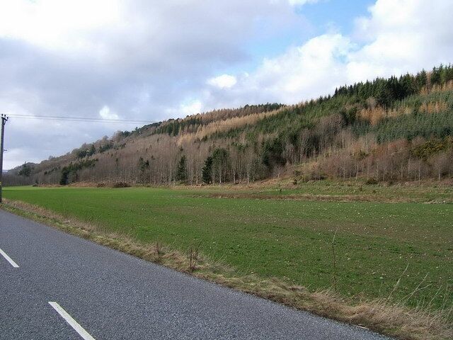 Caputh Woods Caputh comes from Gaelic and means "hilltop" but it also sounds like the Latin "caput" meaning a head; from this we get Capital, Decapitation and so on.