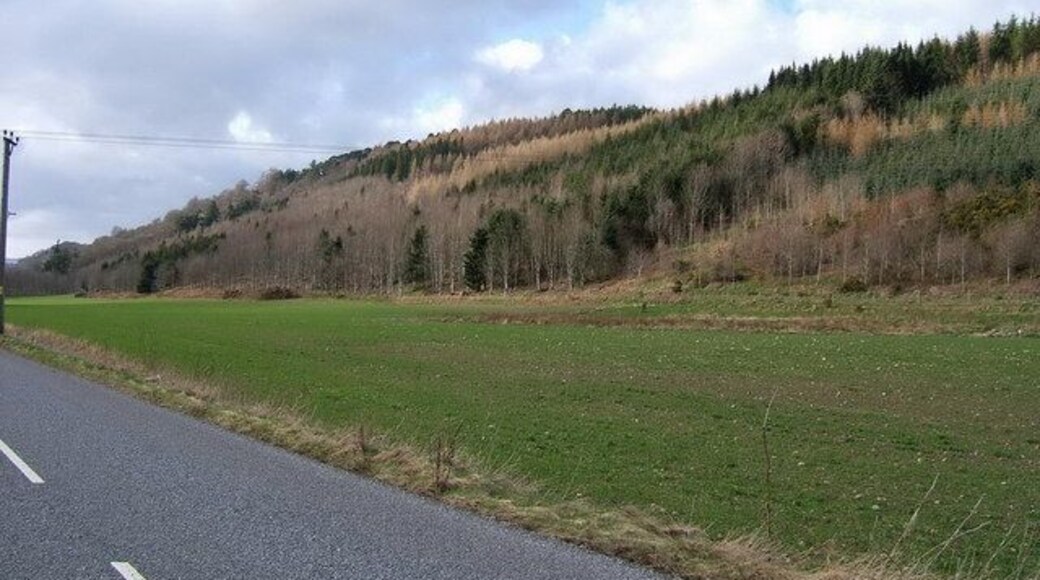 Caputh Woods Caputh comes from Gaelic and means "hilltop" but it also sounds like the Latin "caput" meaning a head; from this we get Capital, Decapitation and so on.