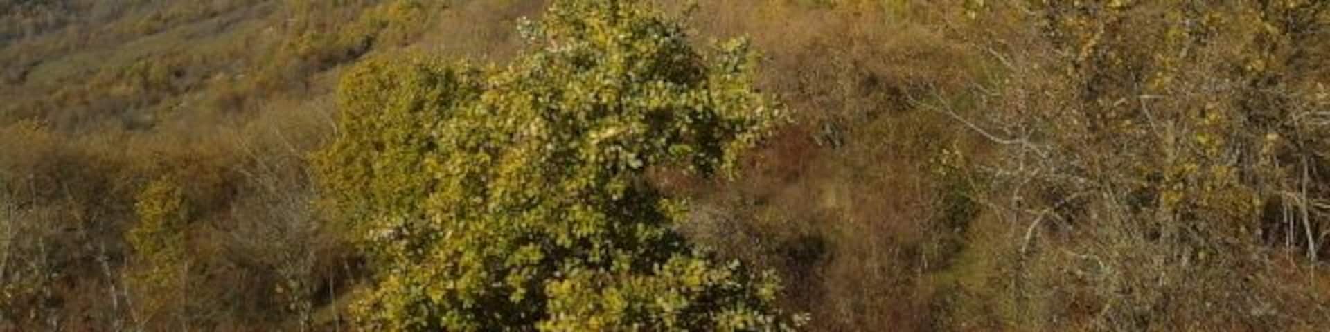 Falesia di Petrella Liri