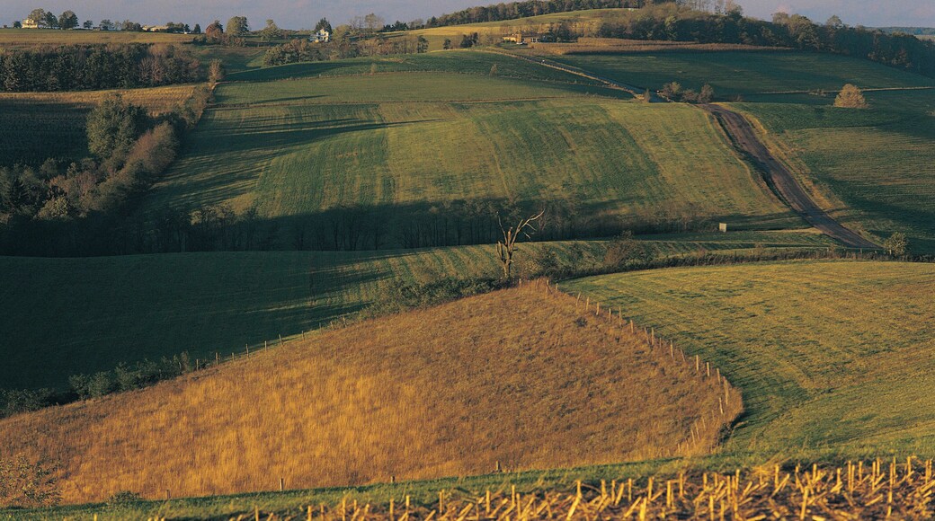Landscape near New Germany, Garrett County, Maryland, USA