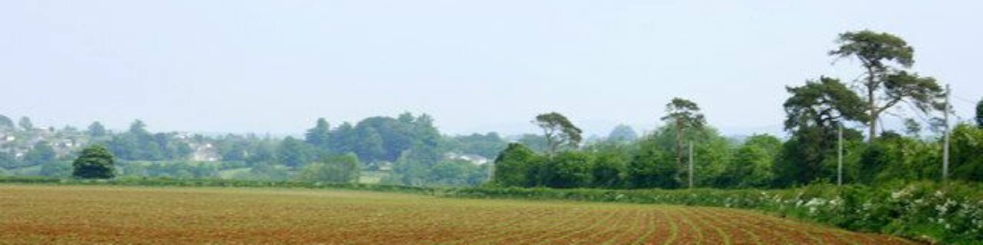 Maize field near Woolverton Taken on 24th May, the plants have been growing for about a week. By the end of September they will be above head high. This was the stuff that was "high as an elephant's eye" in Oklahoma. Must have been a small elephant.