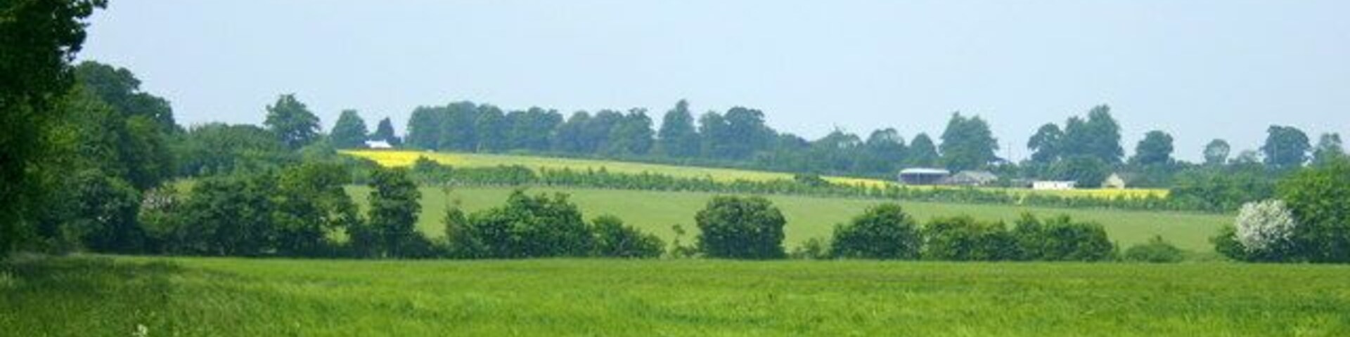 Un campo verde con árboles y una colina distante.