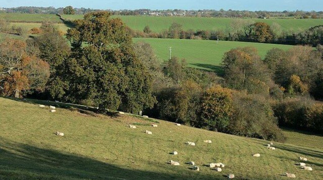 Between Tellisford and Farleigh Hungerford Looking north over sheep pasture, the River Frome is at the bottom of the hill to the right. Westwood is at centre in the distance.