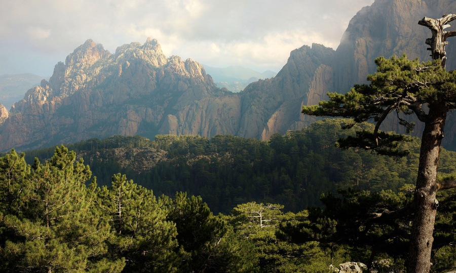 Un paisaje montañoso con bosques densos y cumbres escarpadas.