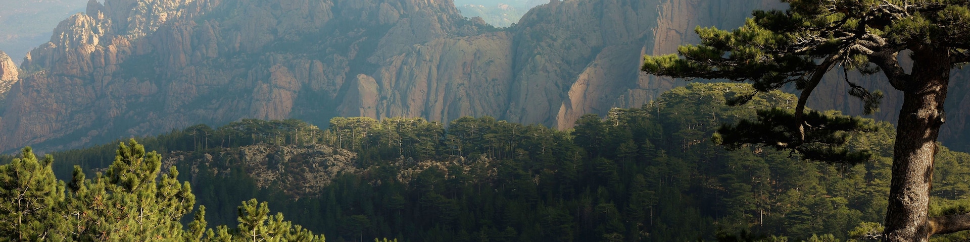 Un paysage montagneux caractérisé par de vastes forêts et des pics escarpés.