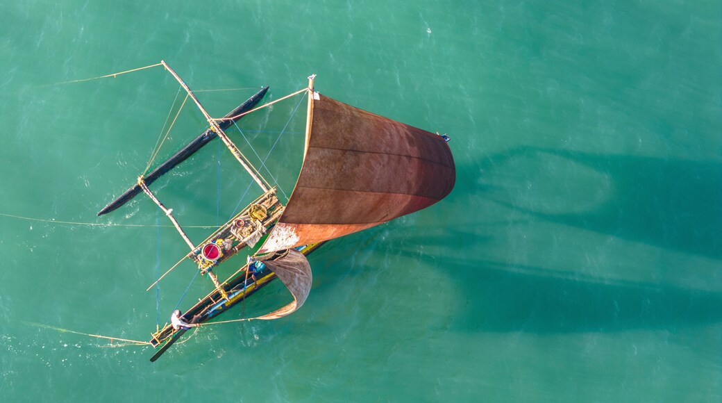 Aerial view of turquoise sea with fishing pirogue, Kochchikade, Sri Lanka.