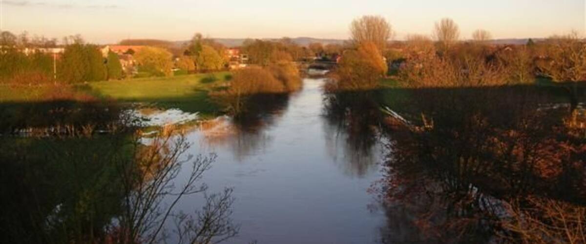 A calm river with trees and a distant town.