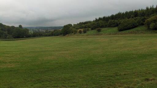 Field between woods, Shalbourne. Amongst coverts for gamebirds.
