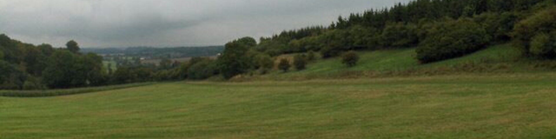 Field between woods, Shalbourne. Amongst coverts for gamebirds.