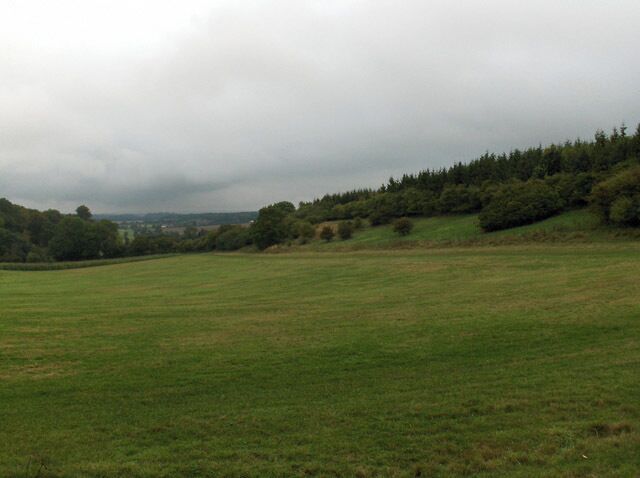 A grassy field with a forested hill in the background.
