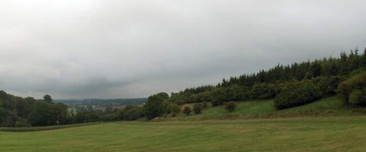 A grassy field with a forested hill in the background.