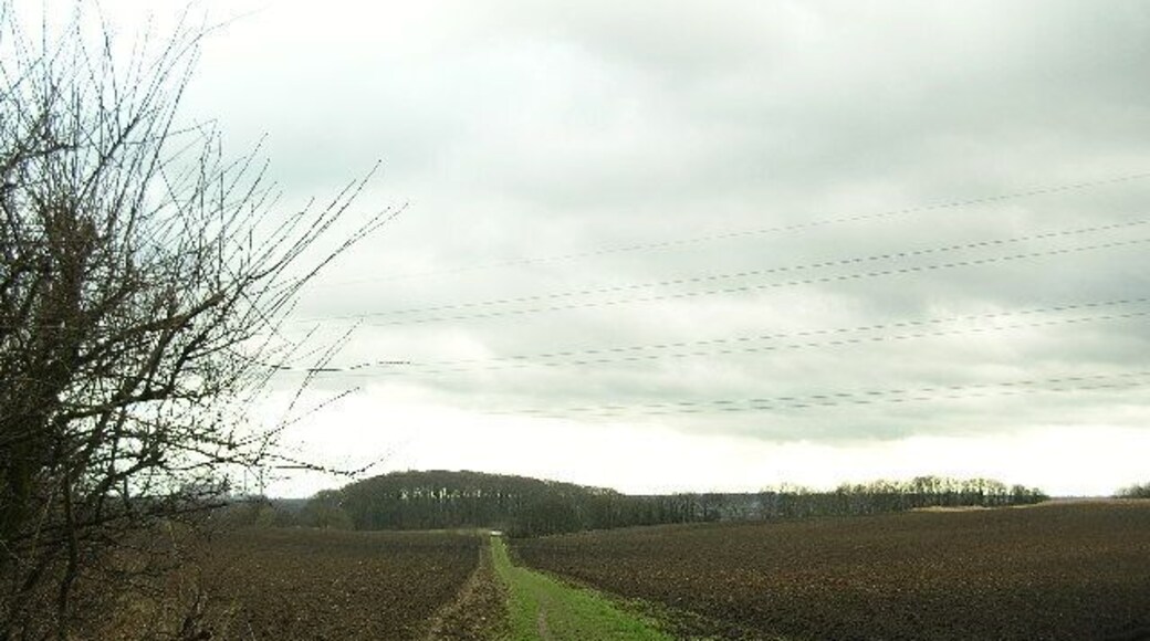 Footpath from Kippax to Mary Panel. Looking south-west through the field, with Ferrybridge in the distance in the west, Castleford over the hill to the south.