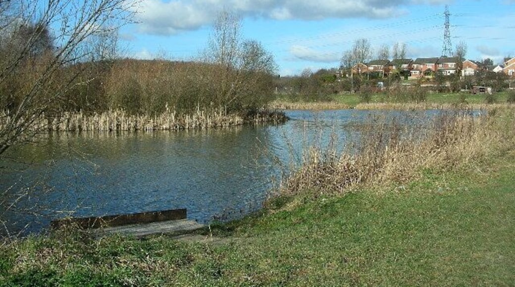 Fishing Ponds off Brigshaw Lane, Kippax