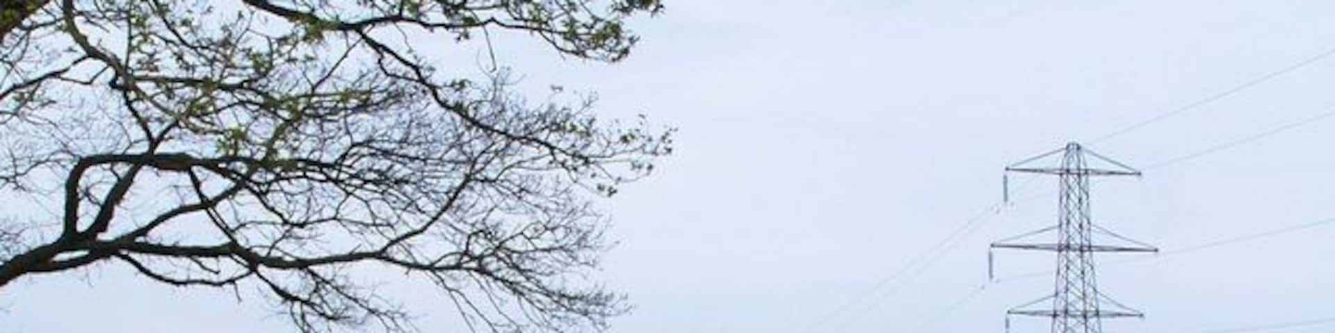 Gas pipeline works alongside power lines This is the reinstatement stage following construction of the Lockerley to Marchwood gas pipeline. It here runs between the lane and the power lines.