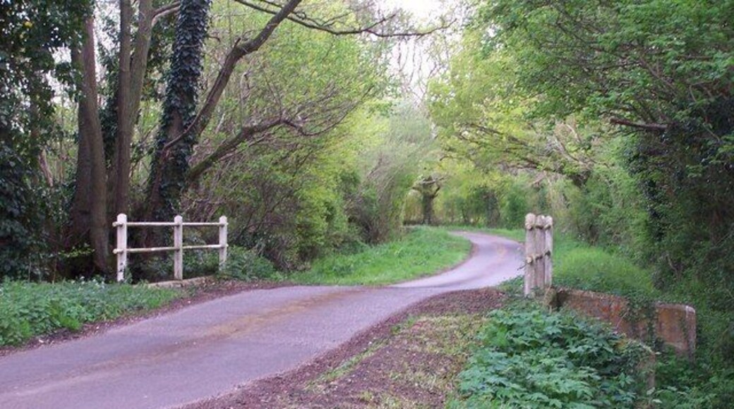 Bridge over stream at Dandy's Ford The remains of the ford are to the right of the photo, very overgrown. This scene is typical of the area with many small lanes and streams.
