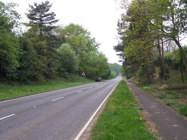 A two-lane road with a pedestrian path alongside, surrounded by dense greenery and trees.