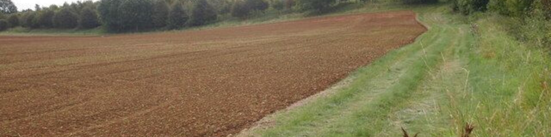 Ploughed field hillside Ploughed field hillside North of Blackford