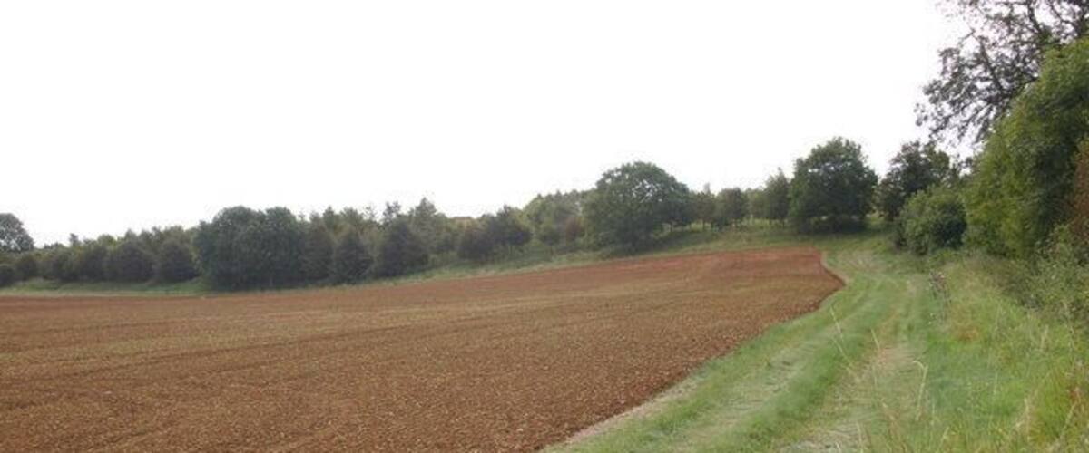 A plowed field with a grassy area and trees in the background.