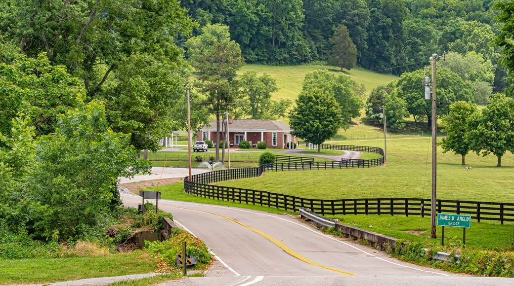 Leipers Fork street view in Tennessee - LEIPERS FORK, TENNESSEE - JUNE 18, 2019