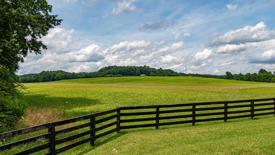Farm at Leipers Fork in Tennessee - travel photography