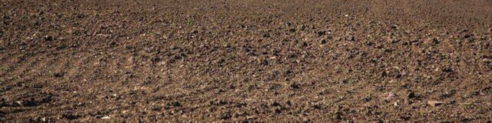 Harrowing Harrowing near South Scarle