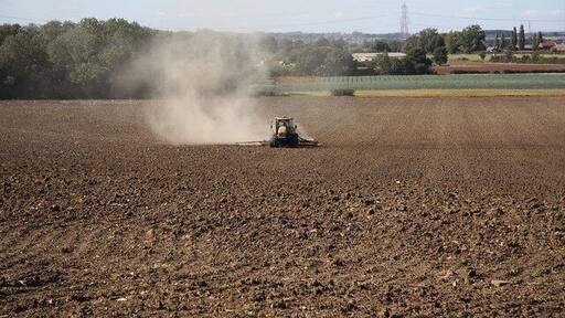 Harrowing Harrowing near South Scarle