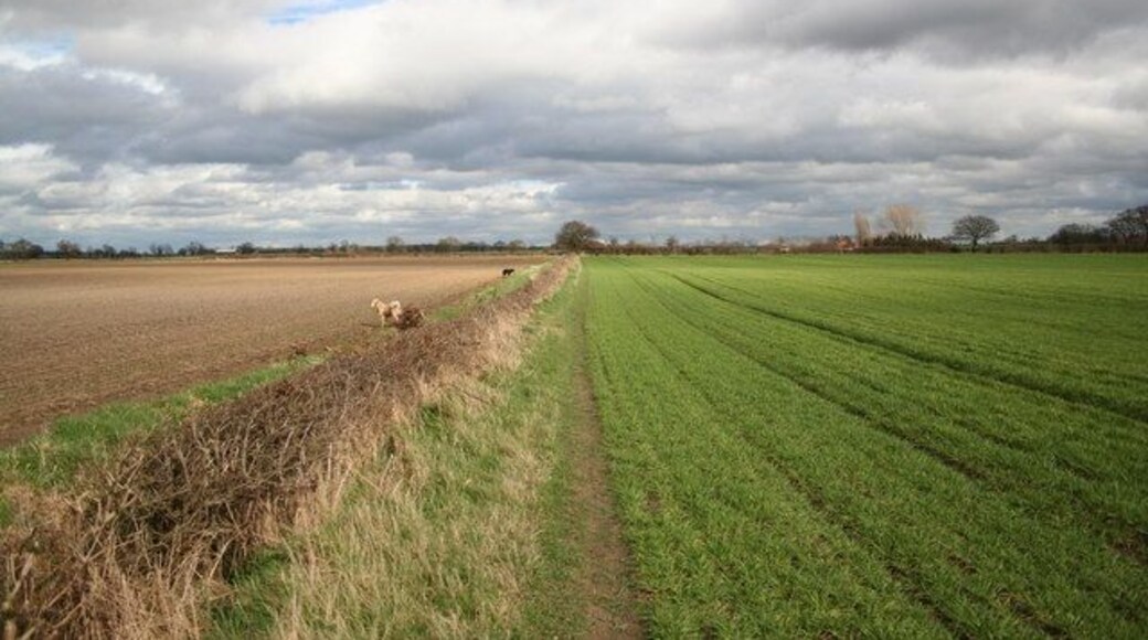 Trent Valley Way. Part of the Trent Valley Way long-distance footpath, looking east towards Moor Lane and Holly House Farm
