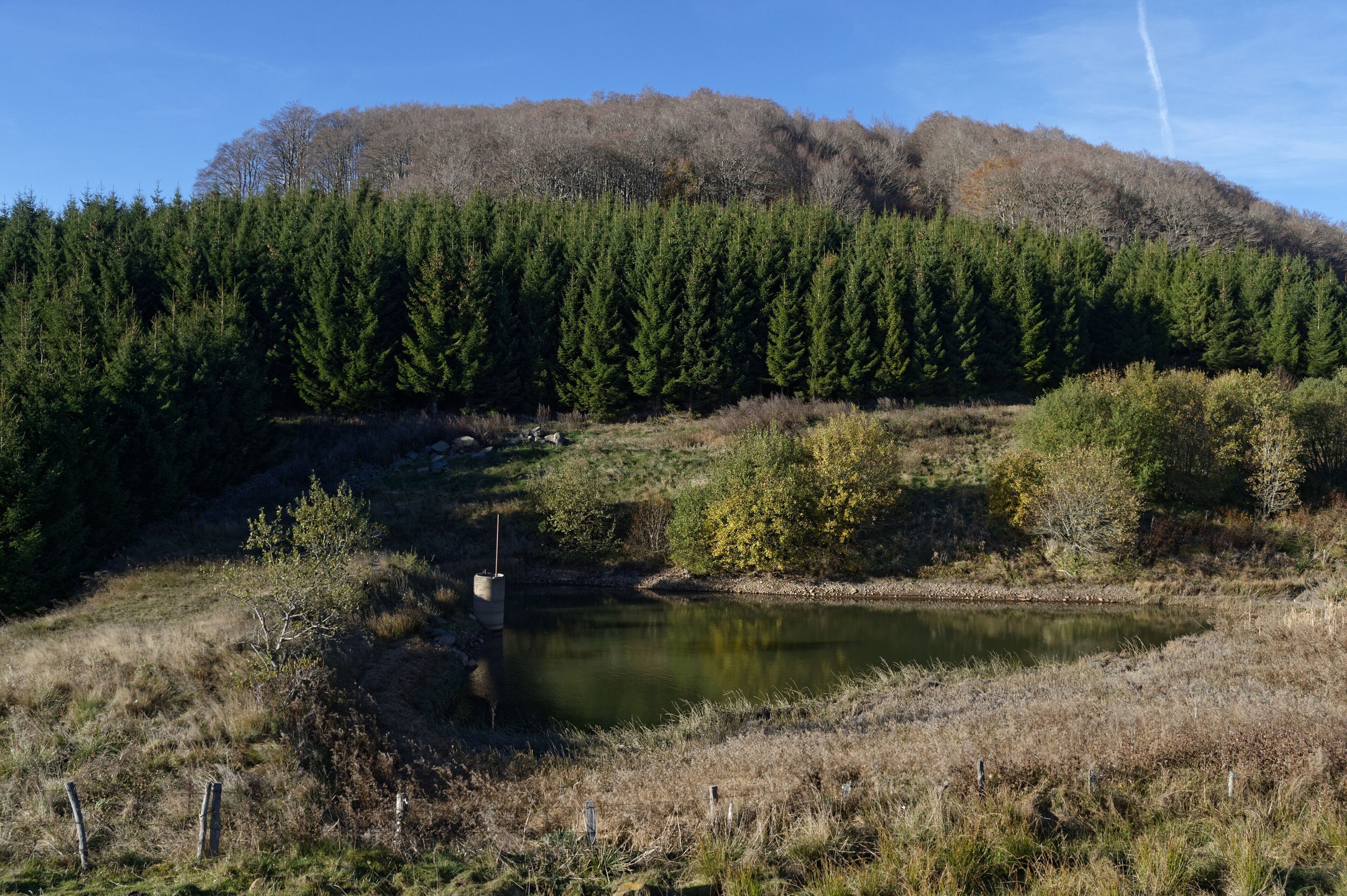 Étang de la Fage à Égliseneuve-d'Entraigues, dans le Puy-de-Dôme.