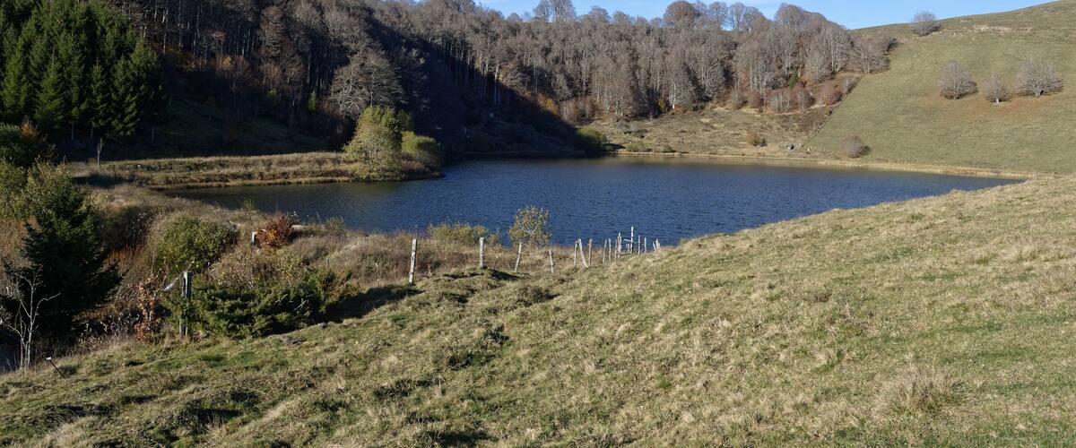 A lake surrounded by forested hills and a clear sky.